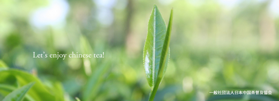 一般社団法人日本中国茶普及協会