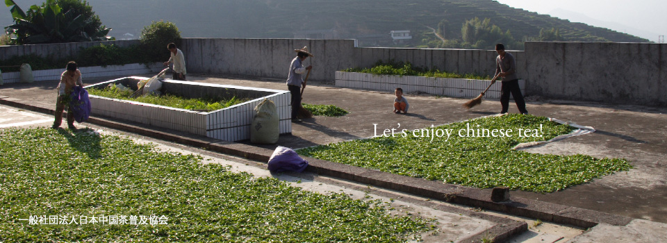 一般社団法人日本中国茶普及協会